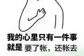 当阳企业清欠服务